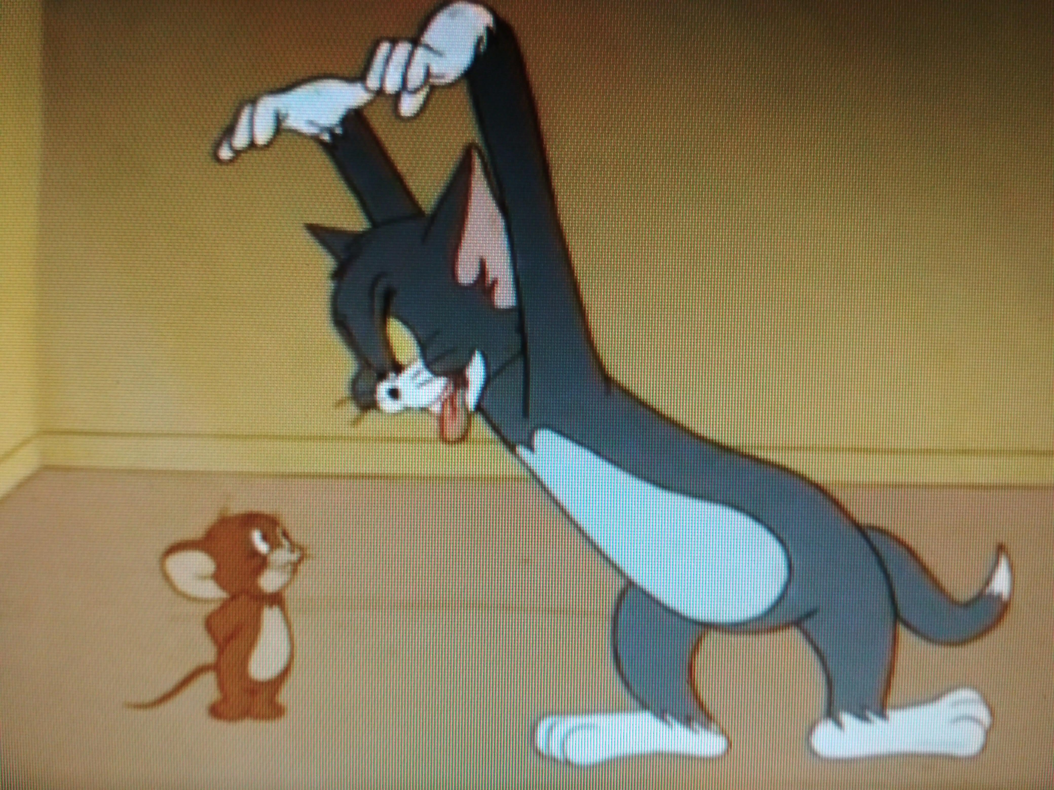 The Tom And Jerry Comedy Show Mysuperendeavour